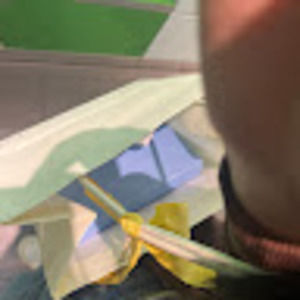 Meet your Posher, Han